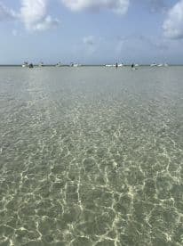Guests enjoy a relaxing day at a sandbar, with several boats anchored nearby — a perfect setting for swimming and socializing in clear waters.