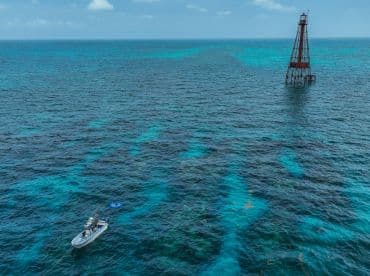 An aerial view captures a boat near a snorkeling site, with swimmers enjoying the vibrant ocean waters — a perfect day for underwater exploration.