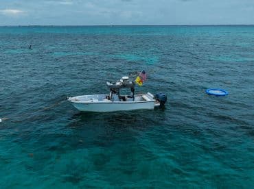 Aerial view of a fishing boat cruising through clear turquoise waters, showcasing the vibrant marine environment.
