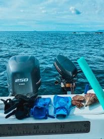 A collection of snorkeling gear and fresh catch displayed on the edge of a boat, perfect for a day of underwater exploration and fun in the sun.