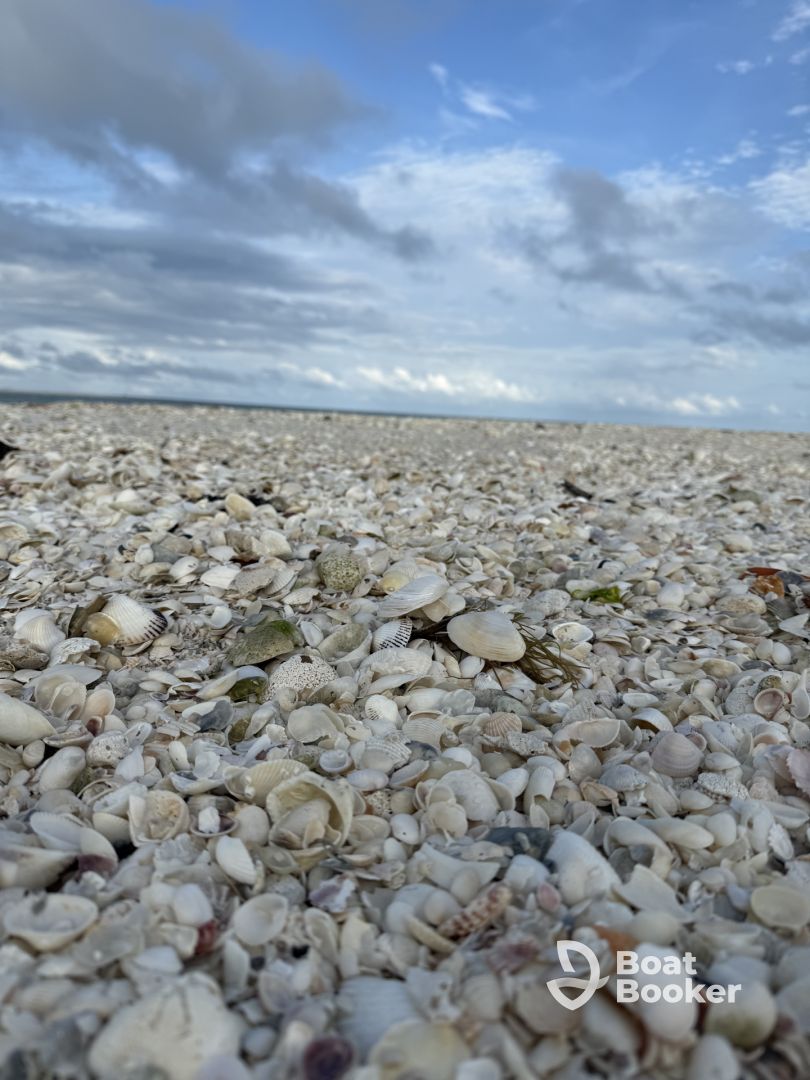 Great shelling tour