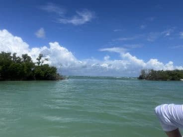 A scenic view of a coastline with lush greenery and blue skies, showcasing the beauty of the area — perfect for exploring islands and enjoying nature.