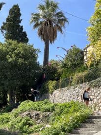 A scene featuring two individuals among lush greenery and palm trees, but lacking a clear boating context.