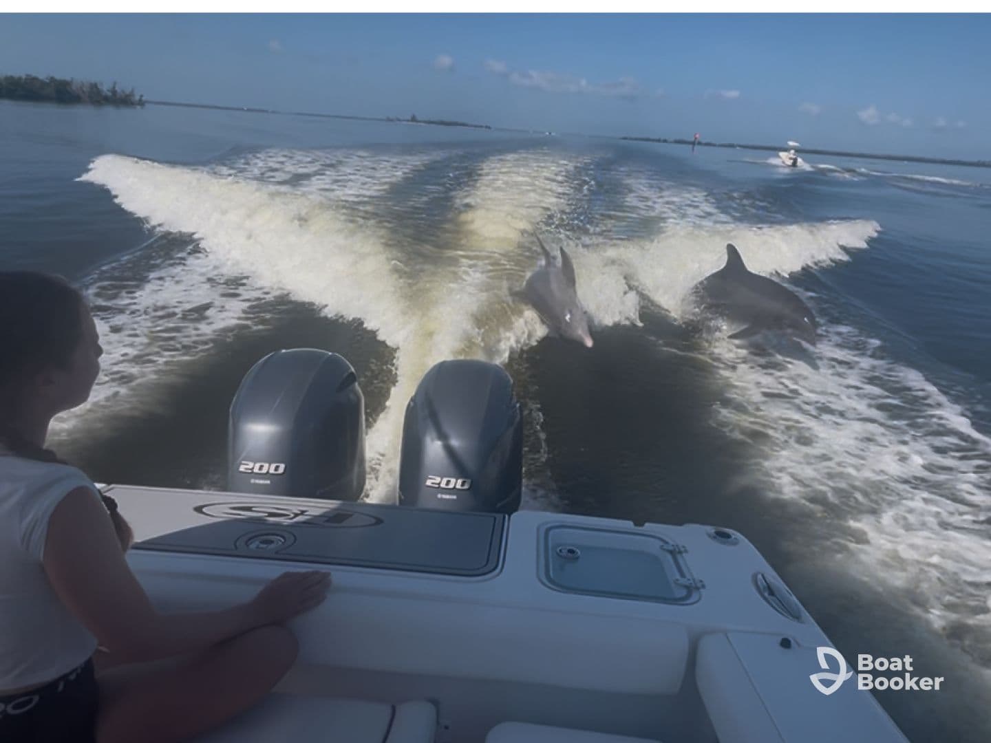 Perfect morning playing with dolphins