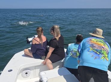 A group of friends enjoys a thrilling encounter with dolphins while aboard a boat, capturing the excitement of marine wildlife in their natural habitat.