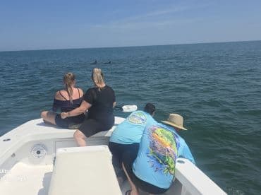 A group of friends enjoys a thrilling moment on the boat, watching dolphins play in the ocean — a perfect day for marine wildlife encounters.