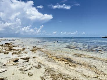 A stunning view of a serene coastline with clear waters and rocky formations, perfect for showcasing the beauty of tropical destinations.