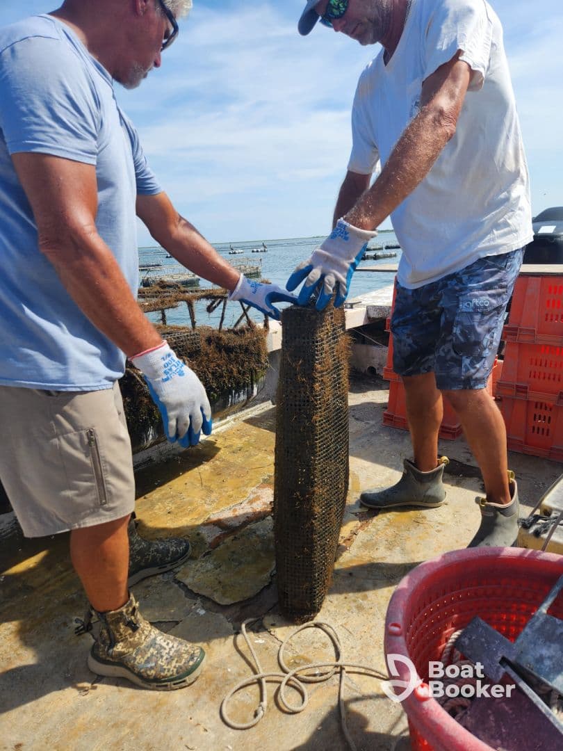 Two individuals are engaged in an activity on a dock, but the focus and context of the image are unclear.