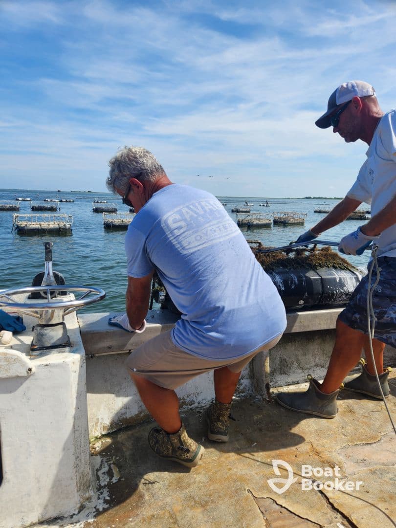 Two men work on an oyster farming boat, showcasing the hands-on experience of aquaculture in the ocean. This scene highlights the dedication and effort involved in sustainable seafood practices.