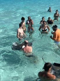 A lively group interacts with stingrays in crystal-clear waters, creating unforgettable memories during a unique wildlife experience.