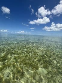 A serene view of clear waters under a bright blue sky, showcasing the natural beauty of the ocean.