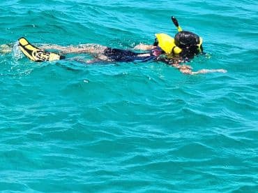 A snorkeler glides through crystal-clear waters, enjoying an underwater adventure — perfect for marine exploration and fun in the sun.