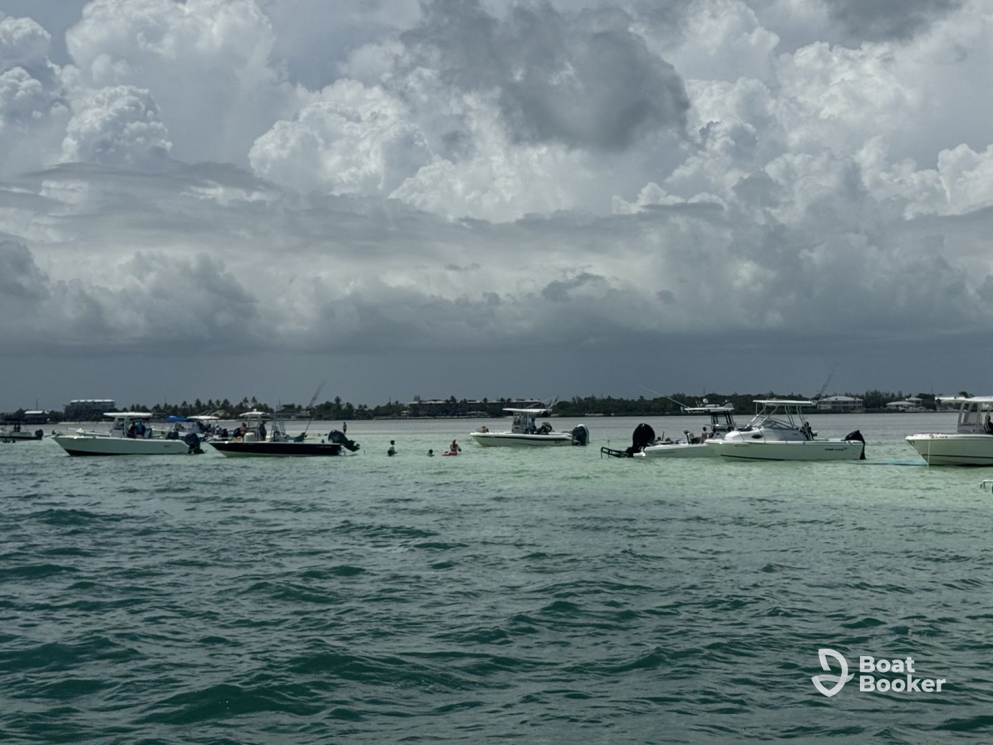 Great day at the sandbar 