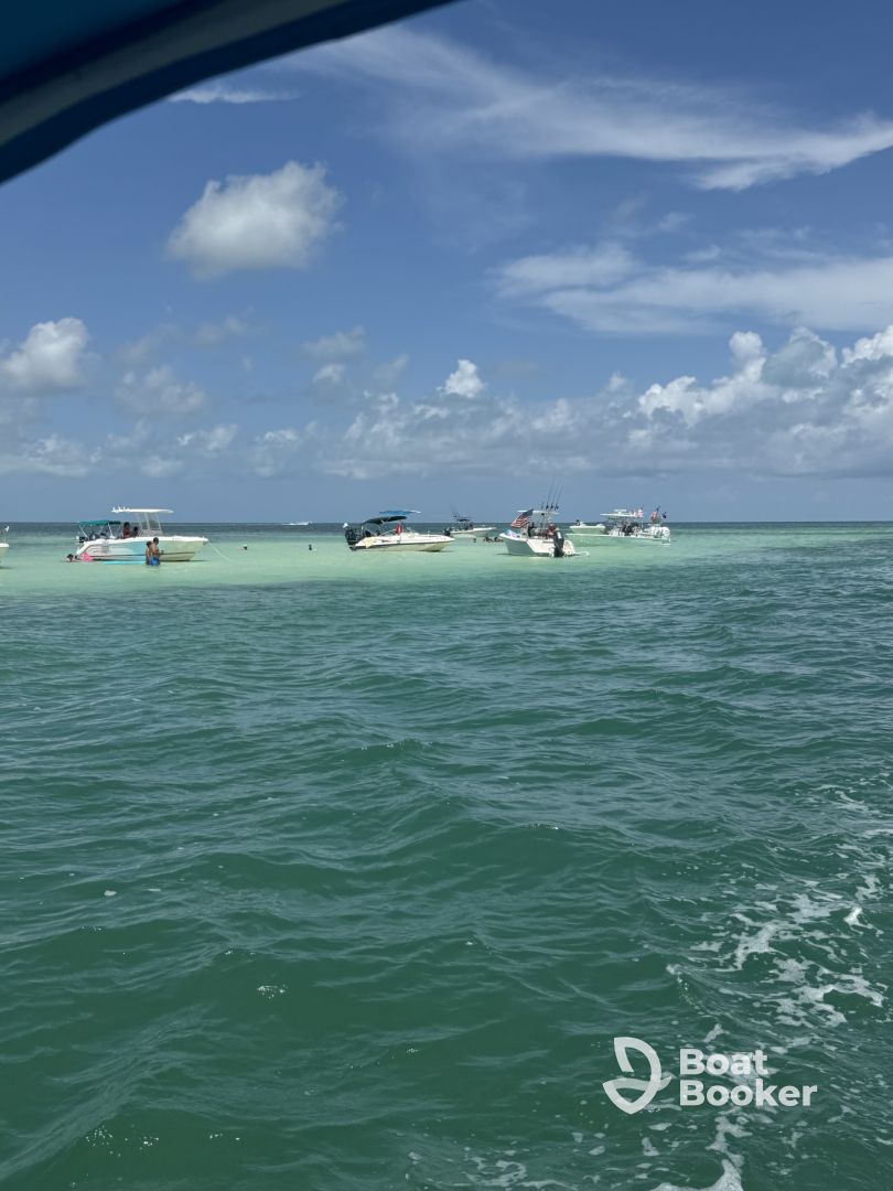 Great day at the sandbar 