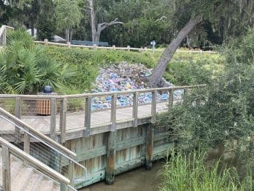 An unclear view of a dock area with visible debris and vegetation, lacking focus on any specific subject.