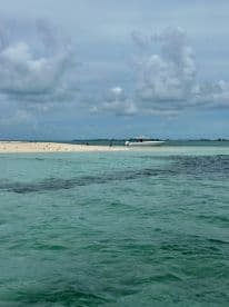 A scenic view of a sandbar with a boat anchored nearby, where guests enjoy the beach and water activities — a perfect spot for relaxation and fun in the sun.