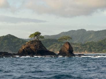 A stunning view of rocky islands adorned with trees, set against a lush green backdrop — a picturesque coastal scene perfect for nature lovers.