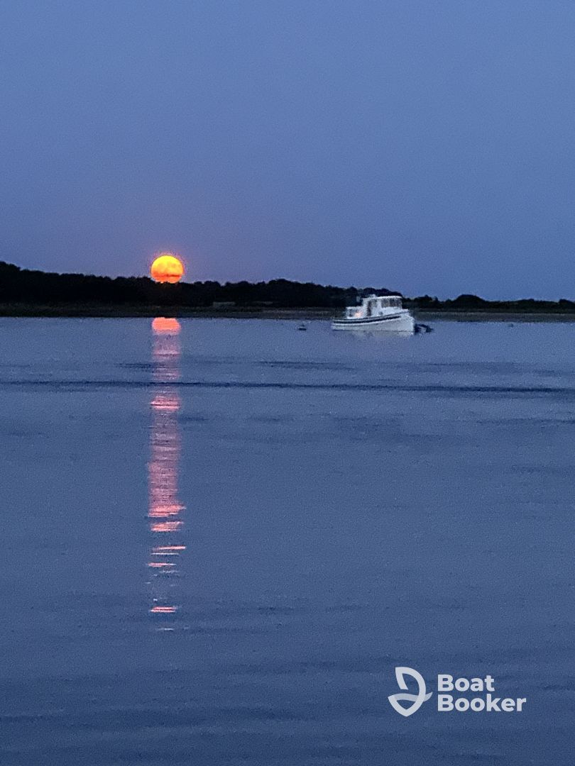 The Sunset Tour
