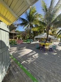 A vibrant outdoor setting featuring colorful tables and palm trees, perfect for a relaxing beach atmosphere.