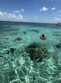 A snorkeler enjoys the vibrant underwater scenery in crystal-clear waters, showcasing the beauty of marine life and perfect for adventure seekers.
