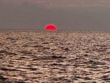 A stunning sunset over the ocean, casting vibrant colors across the water — a perfect backdrop for evening boat cruises.