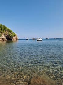 A serene view of multiple boats anchored in a tranquil harbor, surrounded by lush greenery and clear blue skies — perfect for a peaceful day on the water.