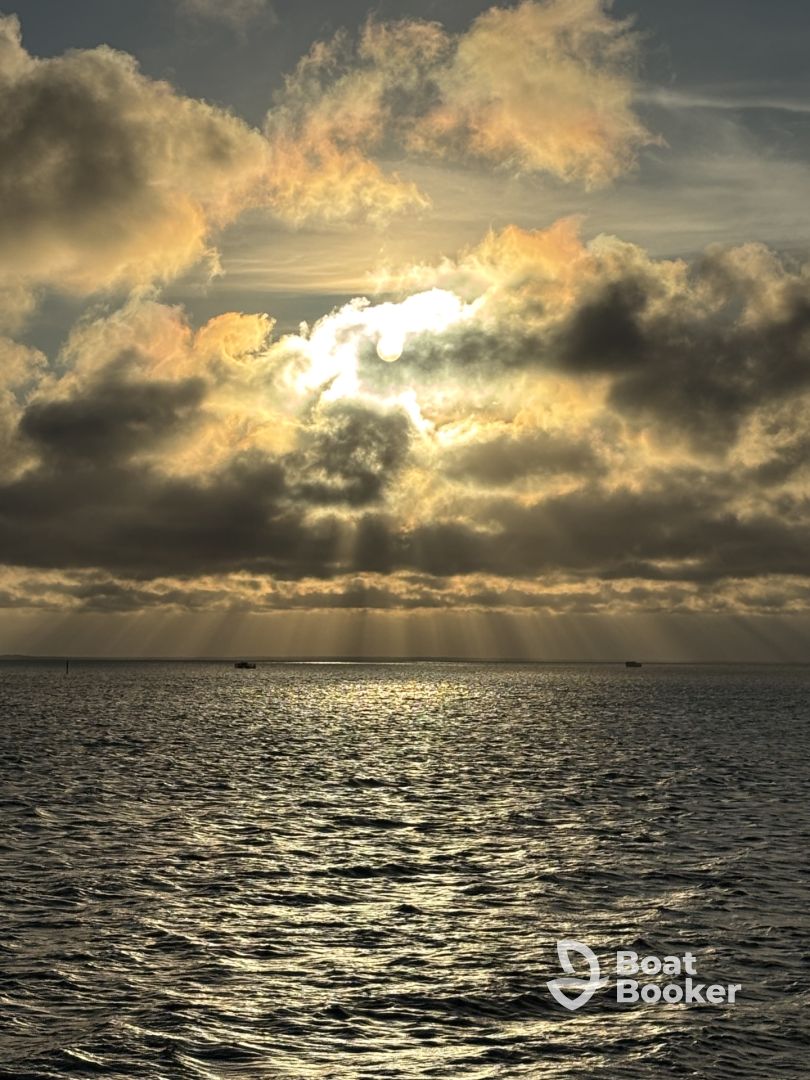 Dolphin Sunset cruise 