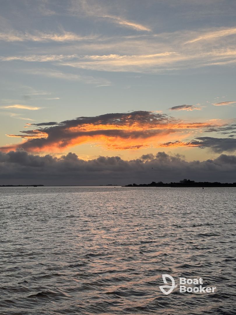 Dolphin Sunset cruise 