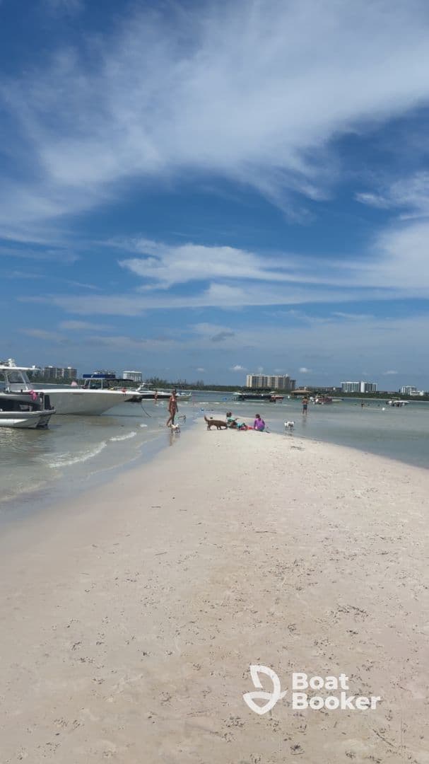 A lively beach scene featuring a group of people enjoying the sun and water, with boats anchored nearby and dogs playing in the sand.