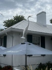 An unclear image featuring a decorative heron atop an umbrella, set against a cloudy sky. The scene lacks clarity and identifiable subjects.
