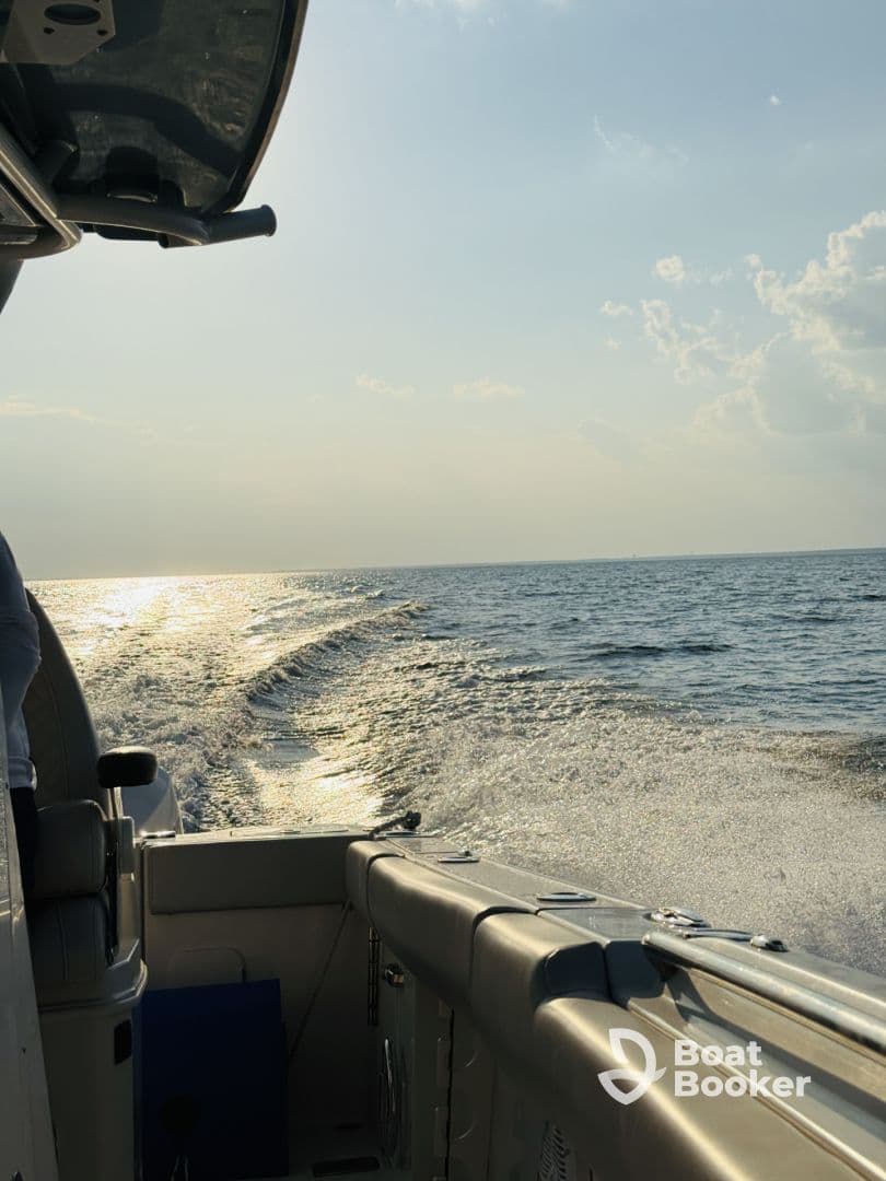 A sleek speedboat glides through shimmering waters, capturing the essence of a thrilling day on the sea.