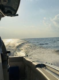 A sleek speedboat glides through shimmering waters, capturing the essence of a thrilling day on the sea.