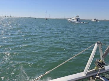 A scenic view of multiple yachts anchored in calm waters, showcasing the beauty of a boating day under clear skies.