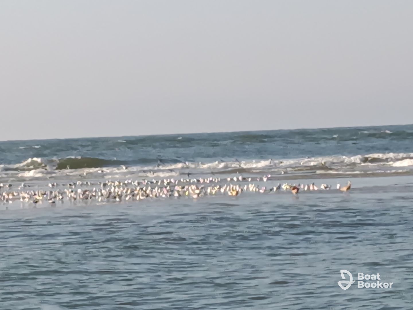 Six in Tybee