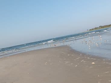 A beach scene with waves and birds, but the image lacks clarity and focus.