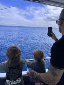 A family enjoys a thrilling moment watching dolphins from the deck of their boat, capturing the excitement of marine wildlife encounters.