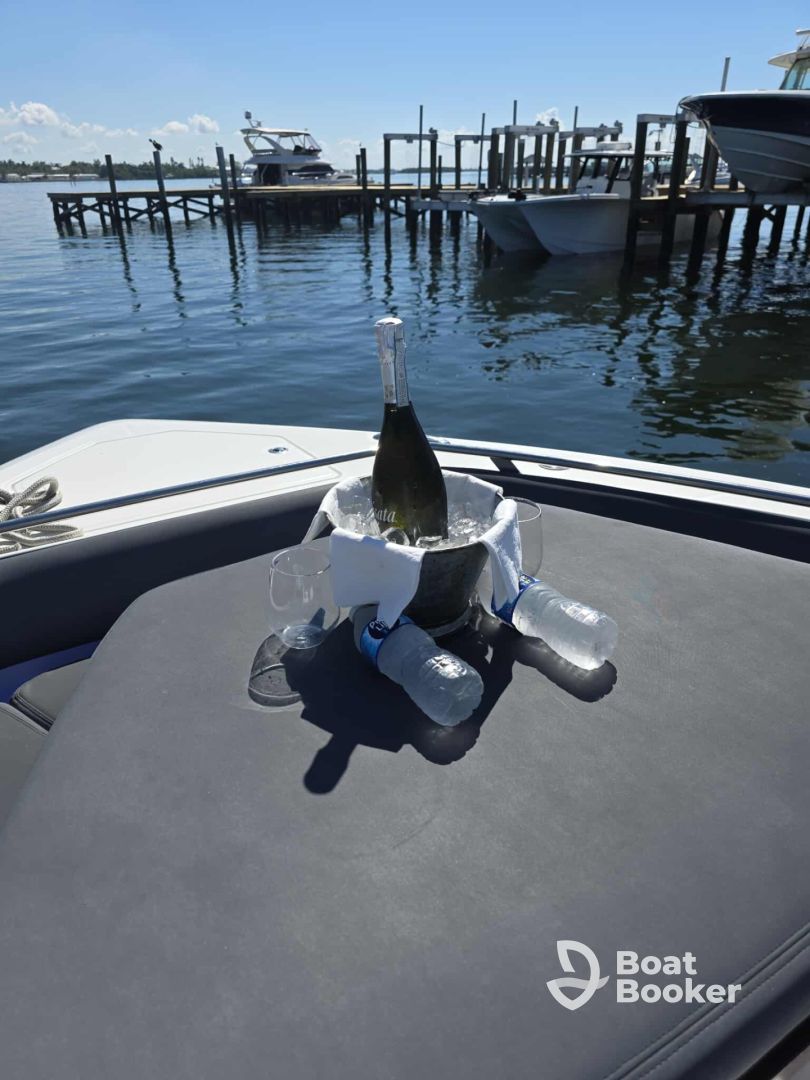 Get the Boston Whaler!