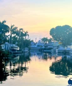 A serene sunset view over a marina, showcasing various boats reflecting on the calm water — a picturesque moment perfect for boating enthusiasts.