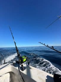 A close-up view of fishing rods and reels on a boat, showcasing the essential gear for a day of deep-sea fishing in calm waters.