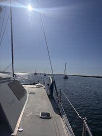 A serene view of a catamaran docked in calm waters, showcasing the vessel's sleek design against a bright sunny backdrop.