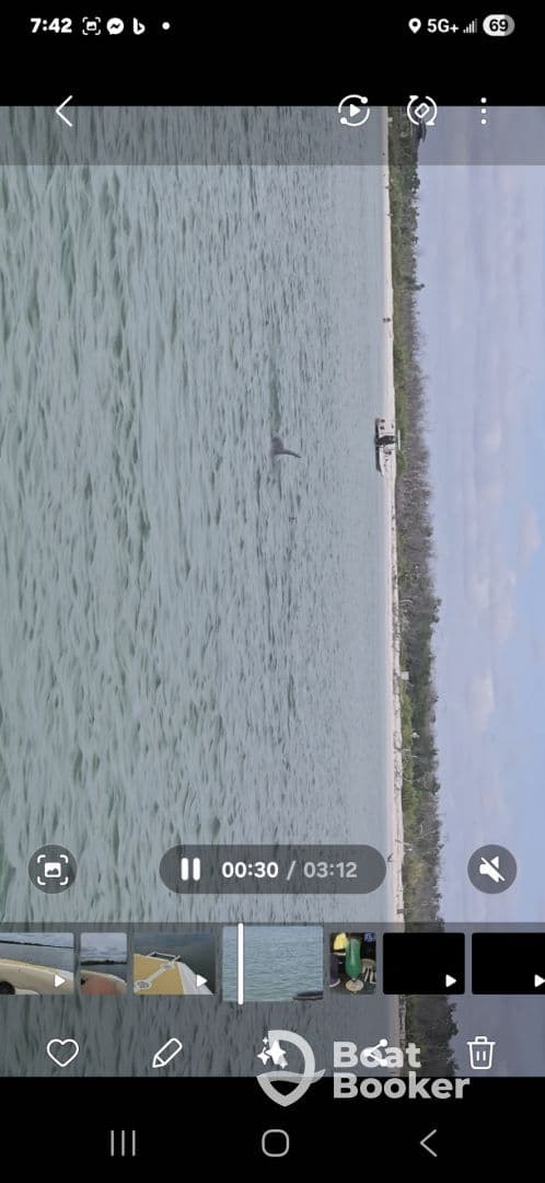 A dolphin gracefully swims in clear waters, showcasing the beauty of marine wildlife in its natural habitat.