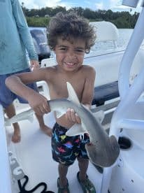 A young boy proudly holds a shark he caught while fishing, showcasing an exciting wildlife encounter on the water.