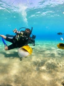 A diver interacts with vibrant fish underwater, showcasing the beauty of marine life during an exciting diving adventure.