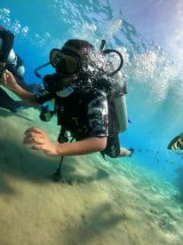 A young diver explores the underwater world, surrounded by bubbles and marine life — a thrilling experience for adventure seekers.