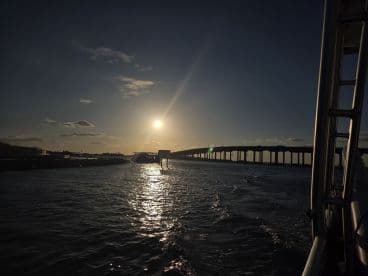 A stunning sunset view over the water, featuring a bridge silhouette — perfect for capturing the beauty of evening boat trips.