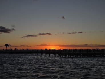 A serene sunset view over the water, with silhouettes of a dock and palm trees, creating a picturesque backdrop for evening boat outings.