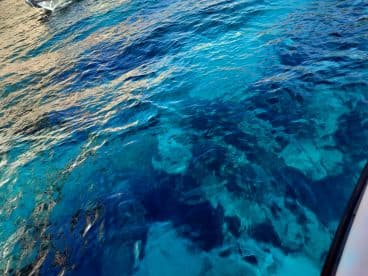 An unclear view of the water's surface, showcasing vibrant blue hues but lacking identifiable subjects or clear focus.