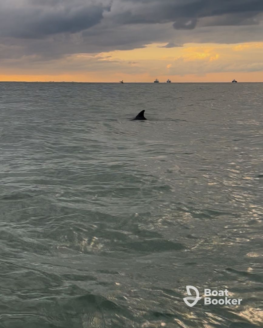 Beyond our expectations 