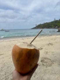 A close-up of a coconut drink held on a beach, with a scenic backdrop of water and greenery — perfect for tropical getaways.