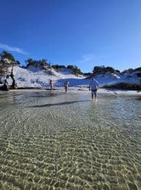 A group enjoys a sunny day at the beach, wading in shallow waters with stunning clear visibility — a perfect sandbar stop for relaxation and fun.